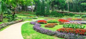 Gardening Services and Maintenance - Vapi, Daman, DNH